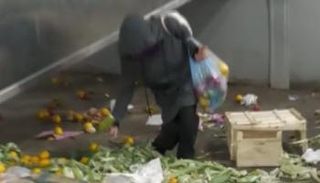 صورة من فيديو لتركي يجمع الطعام من بقايا الأسواق