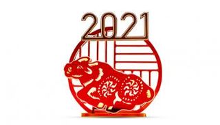 الصينيون يحتفلون بعام الثور