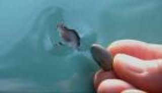 شاهد.. رصاصة طائشة تثير غضب نشطاء التواصل في السعودية