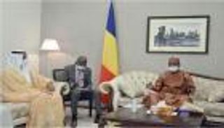 "قمة الساحل".. نشاط دبلوماسي إماراتي لدعم القارة السمراء