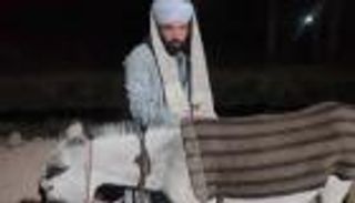 "جحا المصري".. تفاصيل مثيرة في ضبط "العمدة وحماره"