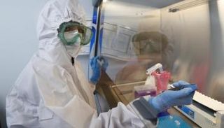 السلالة الجديدة المكتشفة تسمى B.1.525