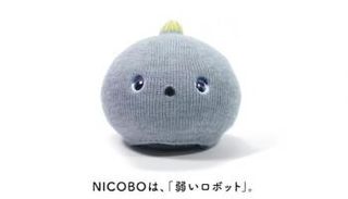 القط الروبوت "نيكوبو"