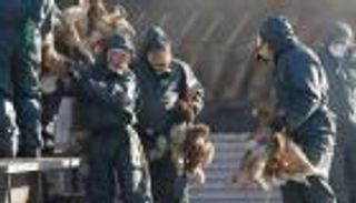 لأول مرة في العالم.. روسيا تعلن اكتشاف إصابة بشرية بإنفلونزا الطيور