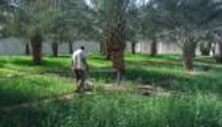 تحذير إماراتي من الاستخدام المفرط للمياه الجوفية