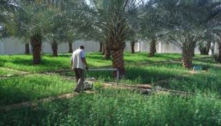 هيئة البيئة أبوظبي تحذر من تحديات المياه الجوفية