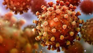 شكل فيروس كورونا تحت الميكروسكوب