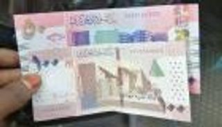 سعر الدولار في السودان اليوم الثلاثاء 23 فبراير 2021