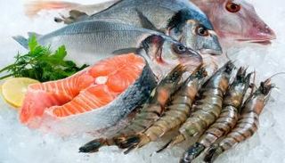 أسماك (صورة أرشيفية)