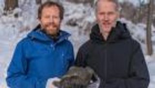 العثور على بقايا نيزك في السويد.. تزن 14 كيلوجراما