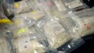 ضبط مخدرات بـ55 مليون دولار في هولندا