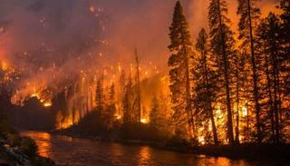 حريق غابات بشمال طوكيو 