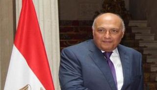 وزير الخارجية المصري سامح شكري