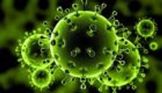 كورونا يغزو سفينة حربية أمريكية في الشرق الأوسط