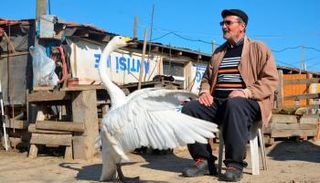 رجب وغريب.. صداقة استثنائية بين عجوز وبجعة 