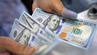 استقرار سعر الدولار في مصر