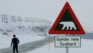  الرجل كان برفقة رجل آخر وقت الهجوم في خليج موهنبوكتا - أرشيفية