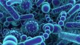 اكتشاف يبهر العلماء.. 70 ألف فيروس في أمعاء الإنسان