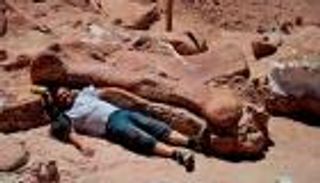 عاش قبل 140 مليون سنة.. اكتشاف أقدم "تيتانوصور"