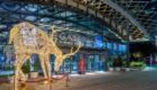 في عام كورونا.. 22 مليون زائر لـ"جاليريا جزيرة المارية" بأبوظبي