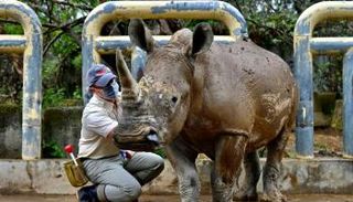 عامل في حديقة حيوانات 