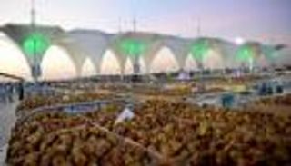 بنسبة 73%.. قفزة قياسية في صادرات السعودية من التمور