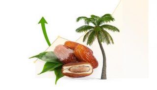 قفزة قياسية في صادرات السعودية من التمور