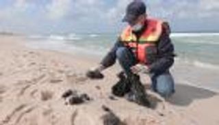 الكشف عن تسرب نفطي بغزة أدى لنفوق أحياء مائية