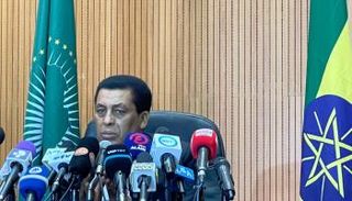 المتحدث الرسمي باسم الخارجية الإثيوبية