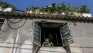 مزرعة على السطح.. فلسطيني يحارب الفقر بطريقة مبتكرة