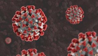 فيروس كورونا 