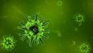 هل اقترب العالم من حل لغز ظهور كورونا؟.. خبير يجيب