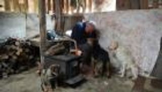 بالصور.. لبناني يهب حياته لـ350 كلبا