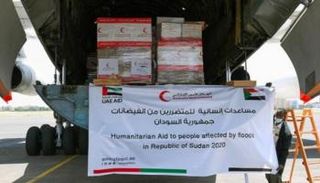 جانب من المساعدات الإماراتية خلال عملية الشحن