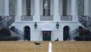 طرد كلبي بايدن من البيت الأبيض بعد "حادث عض"