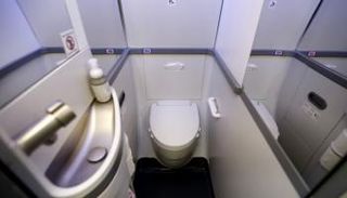 حمام طائرة - صورة أرشيفية