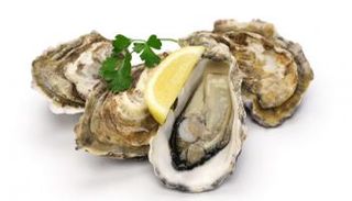 المحار ... كنز من الفوائد الصحية