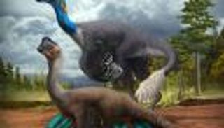 العثور على أول ديناصور وأبنائه متحجرين في عش البيض