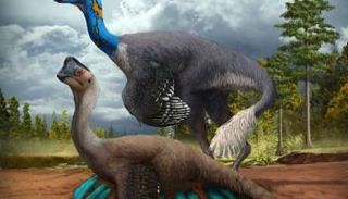 الديناصور لقي حتفه بينما كان يحتضن البيض 