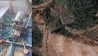 حماس تحمل إسرائيل مسؤولية مقتل 3 صيادين بغزة.. عبوة بحوامة