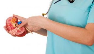 حصوات الكلى هي حالة ناجمة عن تراكم كميات كبيرة من المعادن في البول