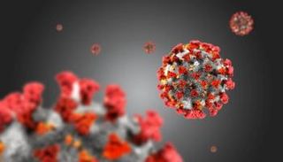 دراسة تحدد علامات الالتهاب المميزة لفيروس كورونا
