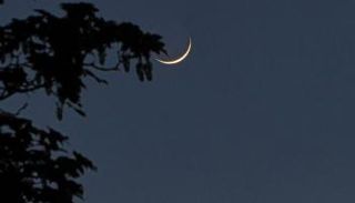 بدايات شهر شعبان اختلفت في العديد من الدول العربية والإسلامية 