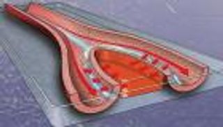 "الكهرباء" تسرع التئام الجروح.. دراسة تكشف الأدلة