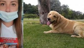 آنا وكلبها المفقود سيمون