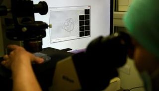 هذه النماذج لا يمكن أن تستمر في نموها مثل الأجنة الطبيعية