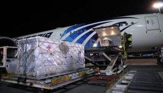 مصر تتسلم شحنة لقاح 