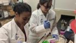 دراسة: هرمون "الجوع" يؤثر على اتخاذ القرارات المالية