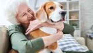 كيف تؤثر الحيوانات الأليفة على المناخ؟