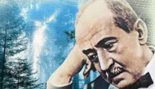 الشاعر أحمد شوقي